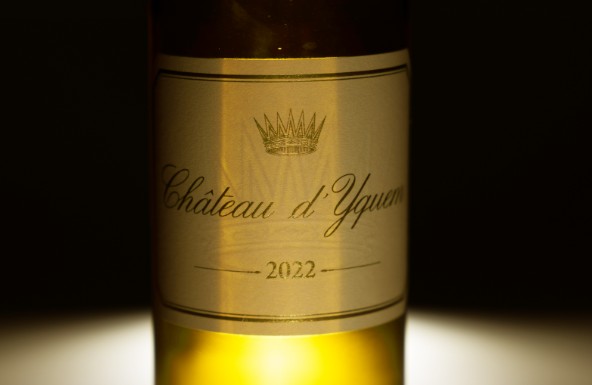 L&rsquo;actu du vignoble bordelais- mars 2025