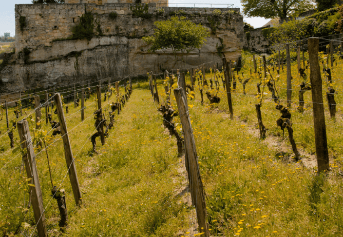 Échos de Bordeaux by Agence Fleurie – juin 2025
