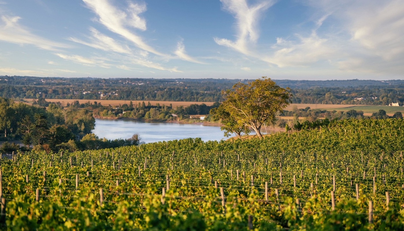 Enquête : Fronsac, l’oublié (à tort) de la rive droite