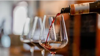 Découverte vins de Bordeaux