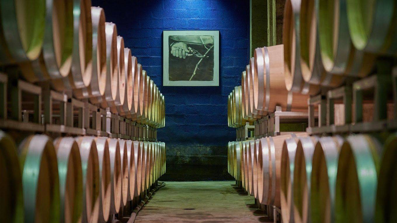 Visite guidée des chais & dégustation
