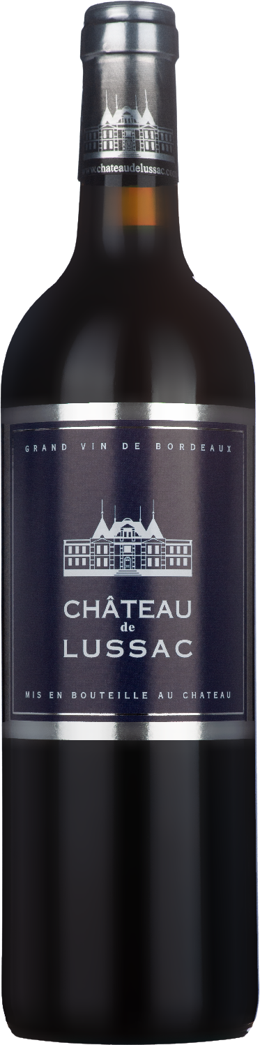 Château de Lussac