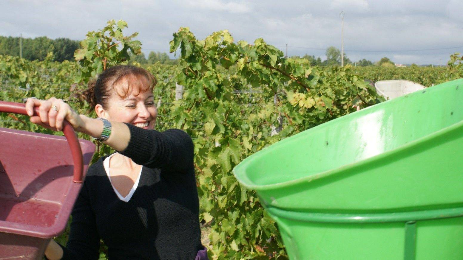 Location de vignes